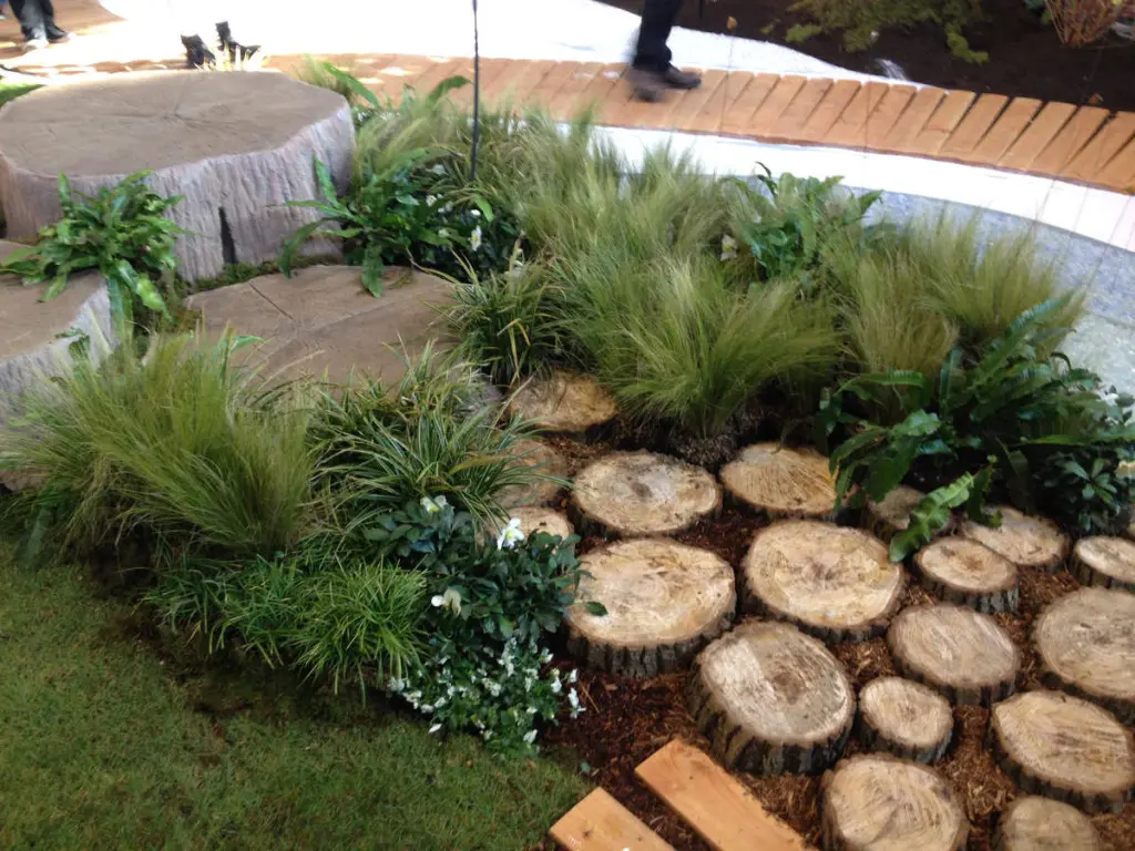 Location de plantes événementiel, aménagement espaces verts intérieur. C'DECO paysagite Dijon Côte d'Or