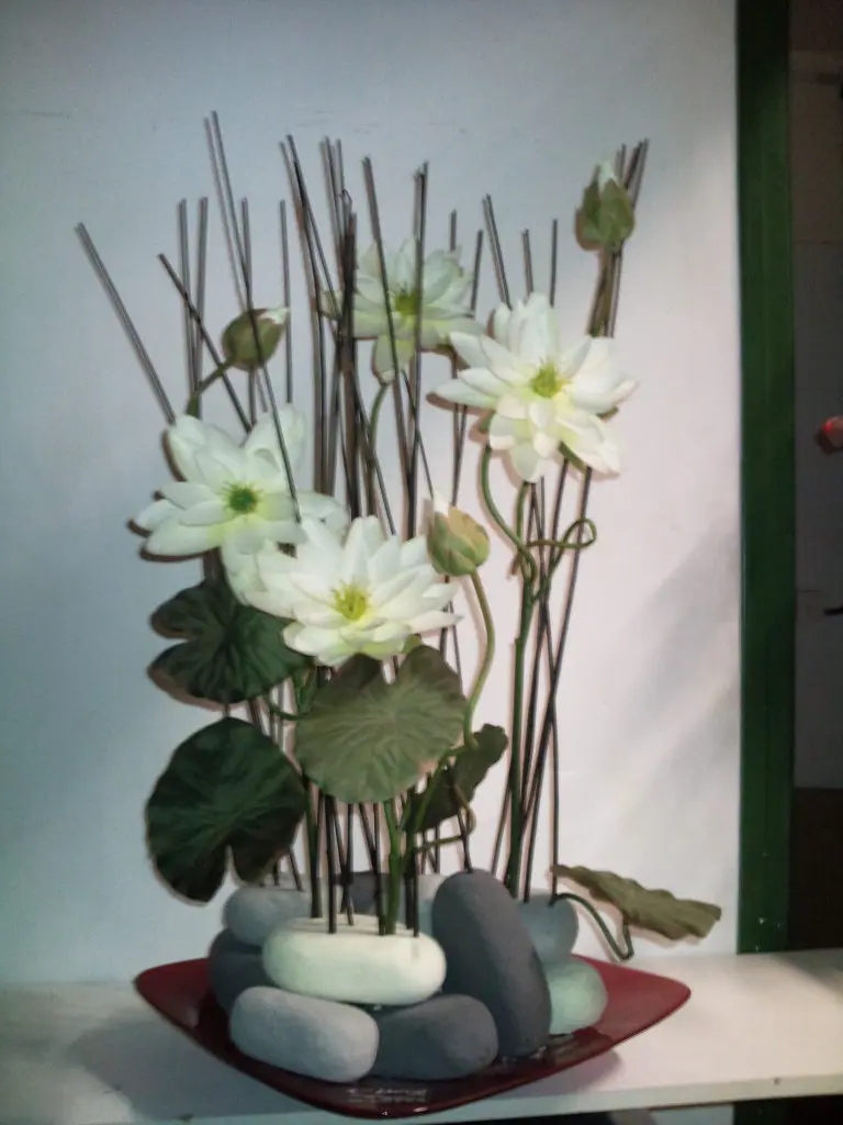 Photo0260