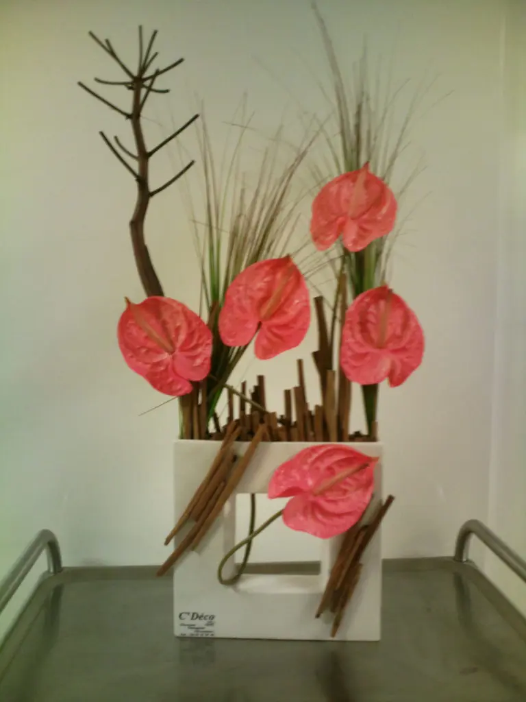 Photo0374