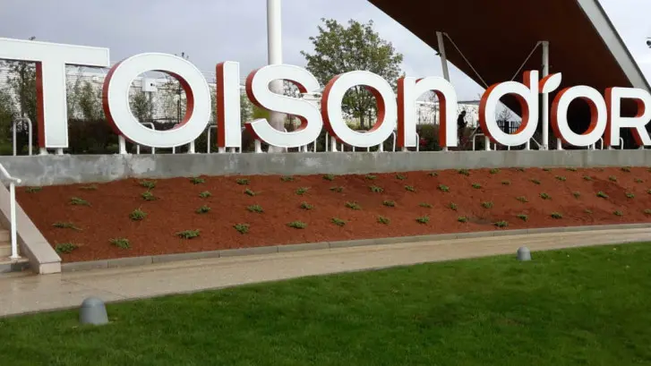 La toison d'or Dijon, plantations et aménagement paysager. Paysagiste Dijon, C'DECO paysagiste